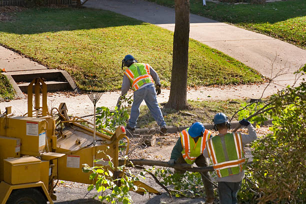 Best Palm Tree Trimming  in Jenks, OK